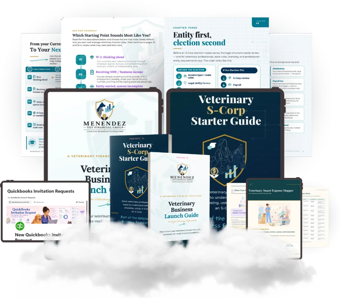 The Veterinary Business Launch Bundle — booklets, worksheets and digital tools