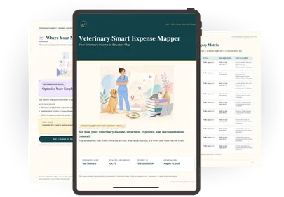 Veterinary Smart Expense Mapper tool preview